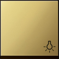 0285604 Gira Клавиша с пиктограммой "свет"