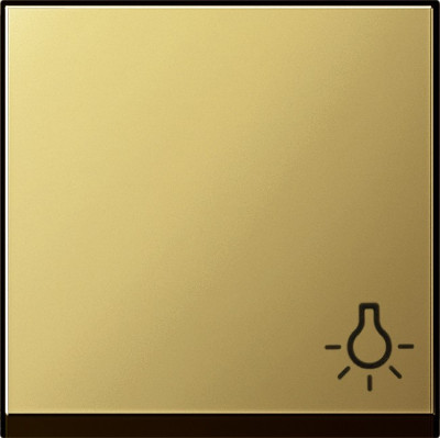 0285604 Gira Клавиша с пиктограммой "свет"