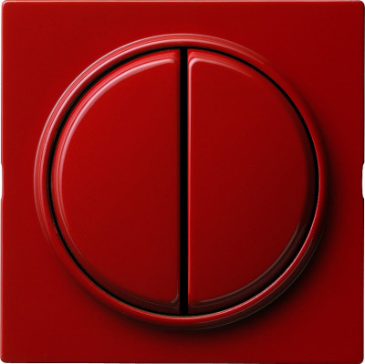 029543 Gira Клавиша двойная