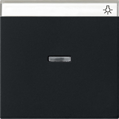 0670005 Gira Одинарная клавиша с полем для надписи и подсветкой