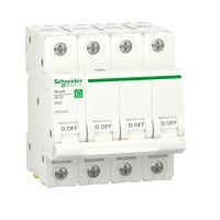 R9F02440 - RESI9 АВТОМАТИЧЕСКИЙ ВЫКЛЮЧАТЕЛЬ (АВ) B 40А 4P 6000A, Schneider Electric