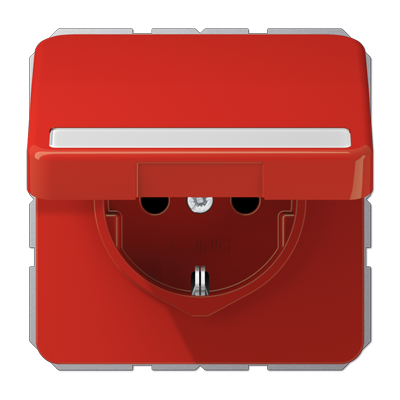 Штепсельная розетка SCHUKO 16A 250V~ с полем для надписи и крышкой, CD1520BFNAKLRT