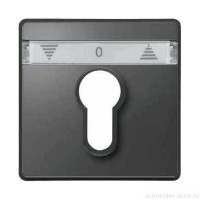 Aquadesign Накладка на мех-зм выключателя с ключом, IP44,  антрац.