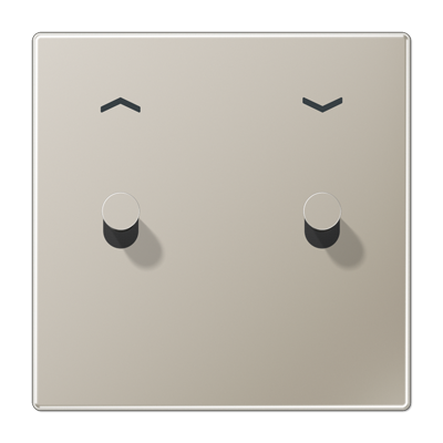 Центральная плата с символом «стрелки», 1 пост, 2 тумблера, конус; металл; нержавеющая сталь; LS1912, ES12-5PK1