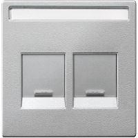 SM Накладка с полем д. надписи для 2-х разъёмов, со шторк., для арт. №SCMTN4566-00хх, алюм.