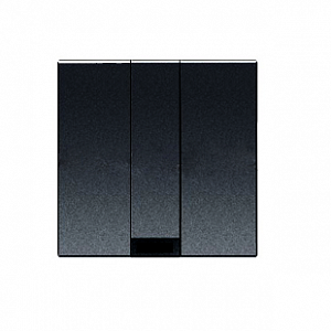 N2207 AN     Abb NIE Вывод кабельный, 2-модульный, серия Zenit, цвет антрацит 2