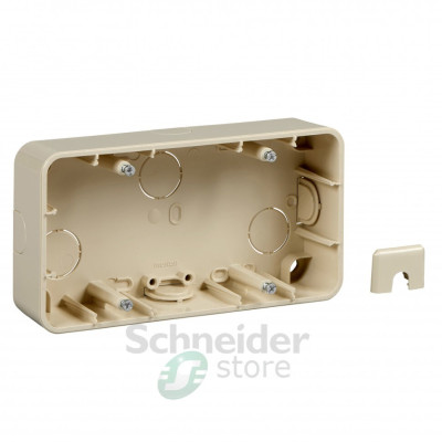 КОРОБКА ДЛЯ ОТКРЫТ МОНТАЖА, 2 ПОСТА БЕЖ