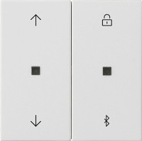 536727 Gira Накладка управления жалюзи с BT System 3000 536727 Gira Накладка управления жалюзи с BT System 3000