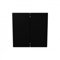 FD3020PBM - Звонковый механизм 2 клавишный с переключающим контактом 10А, 250В, цвет Черный матовый (soft touch, JASMART Electric