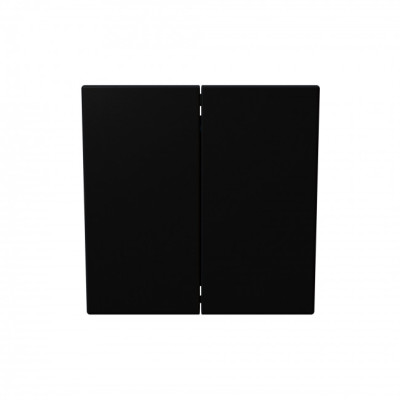 FD3020PBM - Звонковый механизм 2 клавишный с переключающим контактом 10А, 250В, цвет Черный матовый (soft touch, JASMART Electric