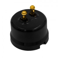 Bironi Выключатель 2-кл., пластик, цвет Черный, Золото (тумблерный), B1-232-23-G Bironi Выключатель 2-кл., пластик, цвет Черный, Золото (тумблерный), B1-232-23-G