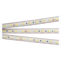 Светодиодная лента герметичная RTW-PS-B60-12mm 24V Day4000 (14.4 W/m, IP67, 5060, 5m) (Arlight, 14.4 Вт/м, IP67), 021398(2)