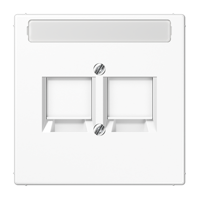 Плата (фиксация защёлкиванием) для двух модулей с полем для надписи; термопласт; белый, LS1969-2NAWEWW