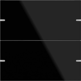 502205 Gira Hаб.клав. 2-м сенс.выкл.4 TS4 черное стекло