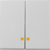 0631015 Gira Накладка двухклавишная с контрольными окнами 0631015 Gira Накладка двухклавишная с контрольными окнами