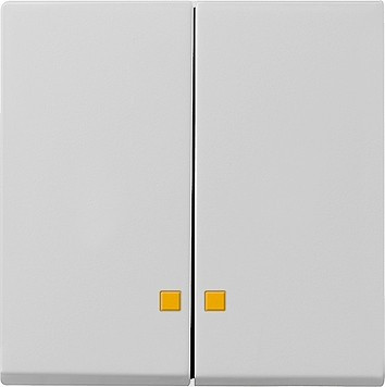 0631015 Gira Накладка двухклавишная с контрольными окнами