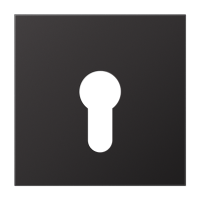 крышка для выключателя с замком, AL2925D крышка для выключателя с замком, AL2925D