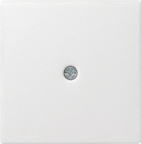 027403 Gira Накладка розетки для подключения средств связи