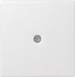 027403 Gira Накладка розетки для подключения средств связи