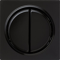 029547 Gira Клавиша двойная