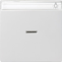 067027 Gira Одинарная клавиша с полем для надписи и подсветкой