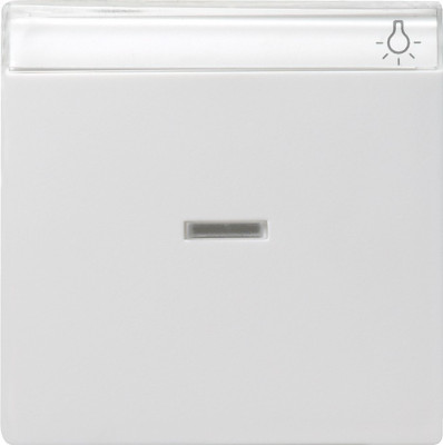 067027 Gira Одинарная клавиша с полем для надписи и подсветкой