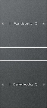 220228 Gira Набор клавиш 2-клав. (1+1),  ГРАВИРОВКА