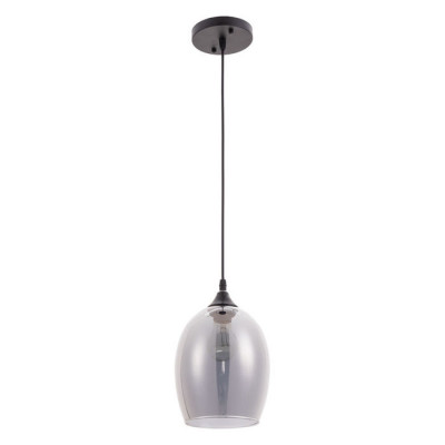 Arte Lamp PROPUS, Подвес, цвет арматуры - черный, цвет плафона/декора - ДЫМЧАТЫЙ, 1х60W E27, A4344SP-1BK