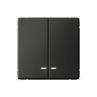 GAL001453 - ARTGALLERY 2-клавишный ВЫКЛЮЧАТЕЛЬ с подсветкой, сх.5а, 10АХ, механизм, БАЗАЛЬТ, Systeme Electric