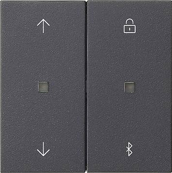 536728 Gira Накладка управления жалюзи  с BT System 3000