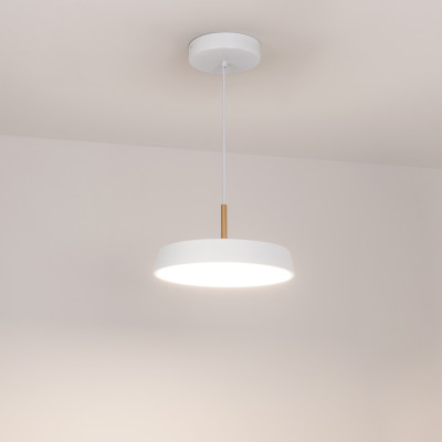 Светильник SP-ELEGANT-R300-17W Day4000 (WH, 120 deg, 230V) (Arlight, IP20 Металл, 3 года), 033919(1)