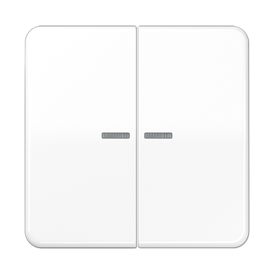 Клавиши ударопрочные для сдвоенногых выключателей с подсветкой; белые, CD595KO5BFWW