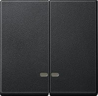 SM Клавиша 2-ная с 2-мя линзами, антрацит