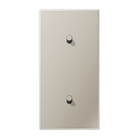 Центральная плата, 2 поста, для вертикальной установки, тумблеры 1+1,цилиндр; металлическое исполнение; нержавеющая сталь; серия LS, ES12-20R1