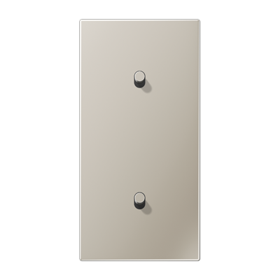 Центральная плата, 2 поста, для вертикальной установки, тумблеры 1+1,цилиндр; металлическое исполнение; нержавеющая сталь; серия LS, ES12-20R1