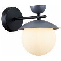 Evoluce SLE220201-01 Светильник настенный Черный, Серый/Белый G9 1*5W