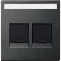 SM Накладка с полем д. надписи для 2-х разъёмов, со шторк., для арт. №SCMTN4566-00хх, антр. SM Накладка с полем д. надписи для 2-х разъёмов, со шторк., для арт. №SCMTN4566-00хх, антр.