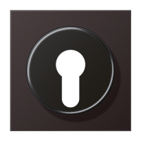 крышка для выключателя с замком, AL2928D крышка для выключателя с замком, AL2928D