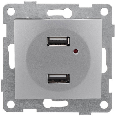 GUSI Bravo МЕХАНИЗМ розетки USB, двойной, скрытая установка. Цвет серебро., С10USB2-004