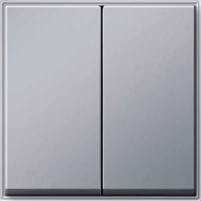 029565 Gira Клавиша двойная