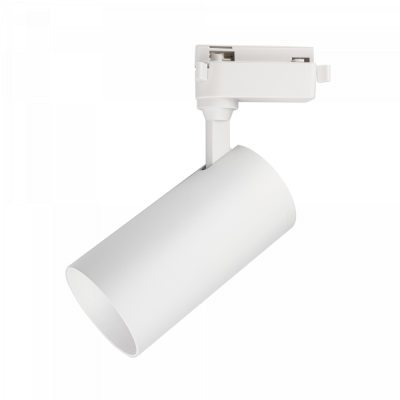 Jazzway PTR 0724 Agro White 24w 38° WH (белый) IP40, 5051379