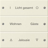 220301 Gira Набор клавиш 3-клав.,  ГРАВИРОВКА