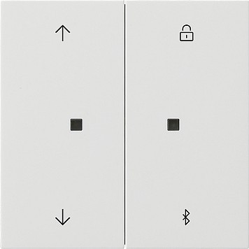 5367112 Gira Накладка управления жалюзи  с BT System 3000