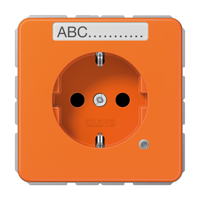 SCHUKO-розетка с полем для надписи и индикатором, CD1520BFNAKOO