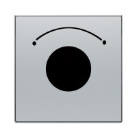 8553 PL - Накладка для механизма выключателя с ключом на 2 положения, серия SKY, цвет серебристый алюминий - 2CLA855300A1301