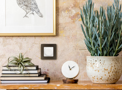 Legrand Диммер поворотно-нажимной - Legrand Inspiria - без нейтрали 300Вт - белый, 673790