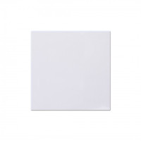 FD3011W - Выключатель одноклавишный 10A 250V~ с накладкой, цвет белый глянцевый, JASMART Electric