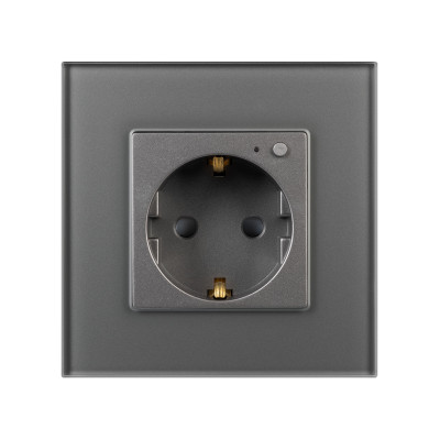 050101 - Розетка электрическая с Zigbee управлением SCT-OMALI-EUZB1-PL-GR (240V, 16A, Zigbee) (Arlight, -)