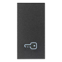 Vimar Клавиша на 1 модуль с симв "ключ", серая, 19021.P Vimar Клавиша на 1 модуль с симв "ключ", серая, 19021.P