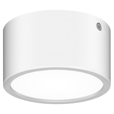 Lightstar 380164 Светильник ZOLLA CYL LED-RD 8W 640LM БЕЛЫЙ 4000K IP65 (в комплекте)